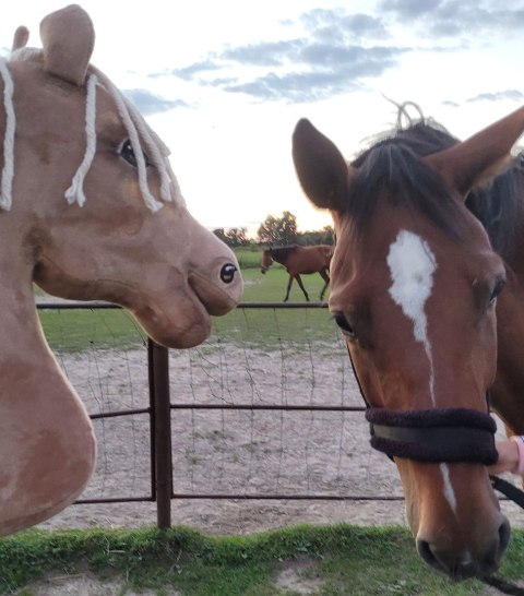 Hobby Horse Duży koń na kiju Premium - izabelowaty A3