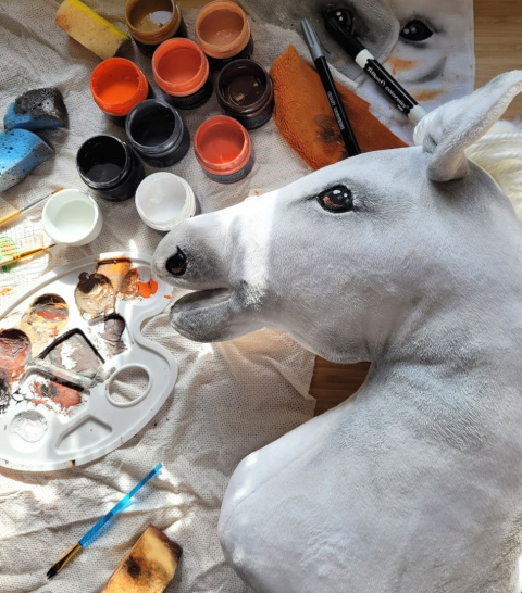 Zestaw STARTER - Hobby Horse A3 Biały + różowe akcesoria