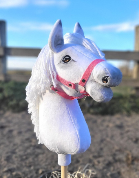 Zestaw STARTER - Hobby Horse A3 Biały + różowe akcesoria