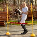 Zestaw Skippi - Hobby Horse Gniado - srokaty i przeszkoda do skakania 135 cm