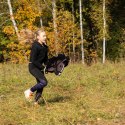Zestaw Skippi - Hobby Horse Gniady - Derka szary i brąz - Kantar czerwony